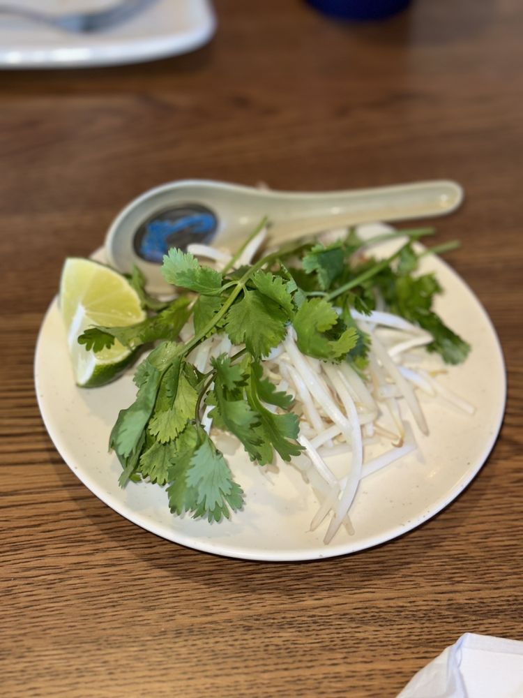 Pho and Sushi Vietnamese and Japanese Cuisine