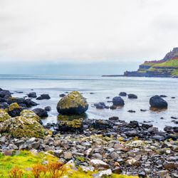 Giant's Causeway - Late August 2025