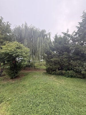 Schuylkill Banks by null