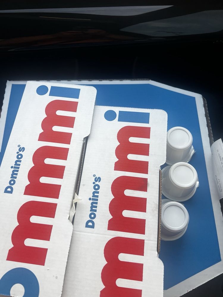 Domino's Pizza Logo