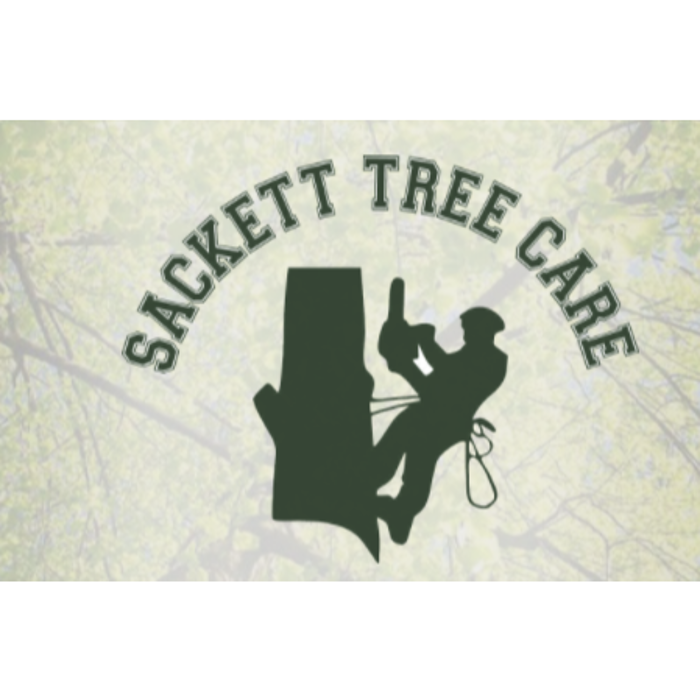SACKETT TREE CARE Updated September 2024 700 E Abel Ave, DeLand, Florida Tree Services