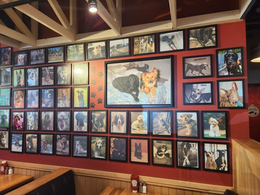 Uncle Bear's Grill & Tap - Greenfield by null