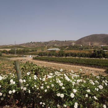 Robert Renzoni Vineyards - View - Wineries Near Me - Temecula, California