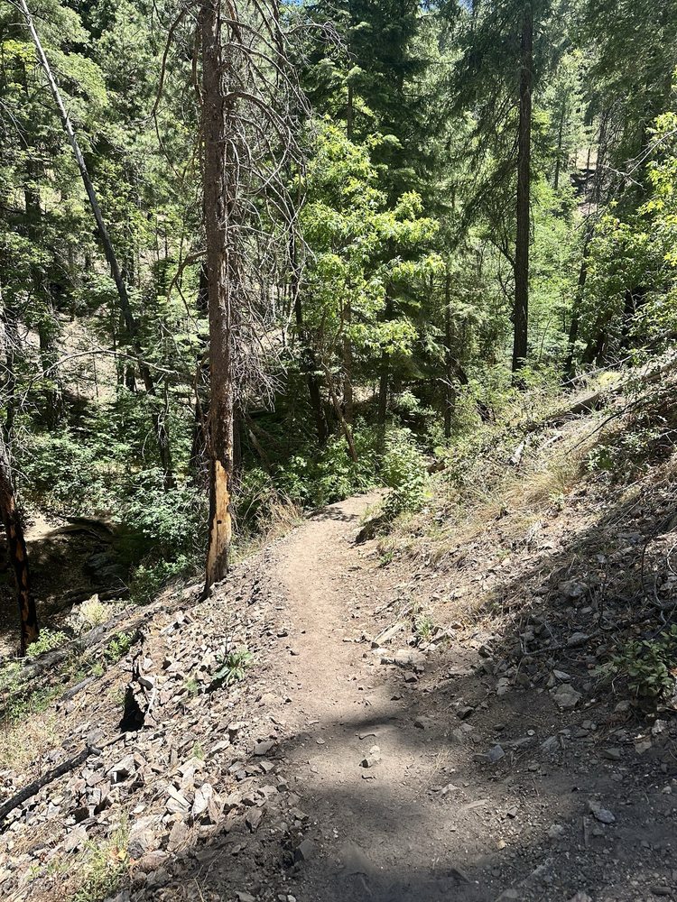 Marshall Gulch Trail Logo