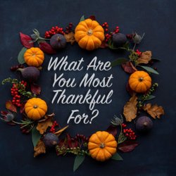 Northshore Healing Centre - What are you grateful for today? Gratitude is one of the most powerful practices to align Mind, Body & Spirit. We are Grateful for YOU.
