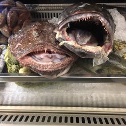 Tinta Fina - Angry fish