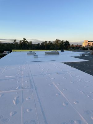 Vigilante & Family Roofing Services