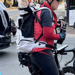 Old Town Alexandria - Bike meetup. The dog and human are real.