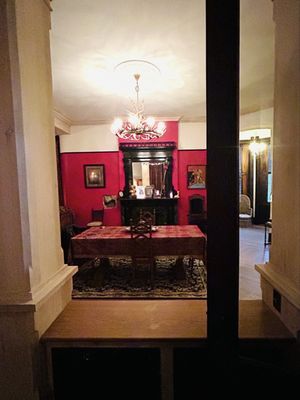 The Franklin Castle (Hannes Tiedemann House) by null