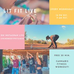Mind Body Physique LLC - Weekly 30 min Workout Class for all levels focusing on 3D fitness through Mind Body Physique Yoga, Pilates, Strength Training, & more!