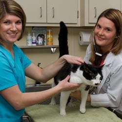 Sandstone Animal Hospital