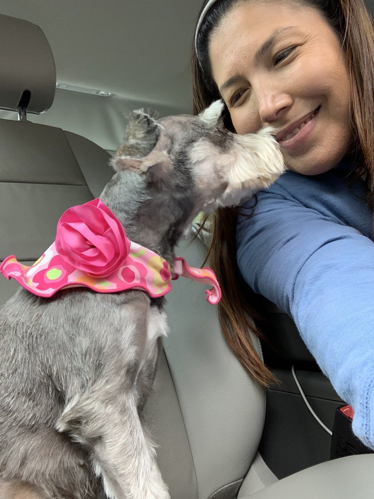 DIVINE PET CARE 44 Photos 900 Round Rock Ave, Round Rock, Texas