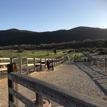 Ostrichland USA - Attraction Farms Near Me - Solvang, California Ostrichland USA - Attraction Farms Near Me - Solvang, California