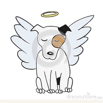 A Peaceful Ending - Veterinarians Near Me