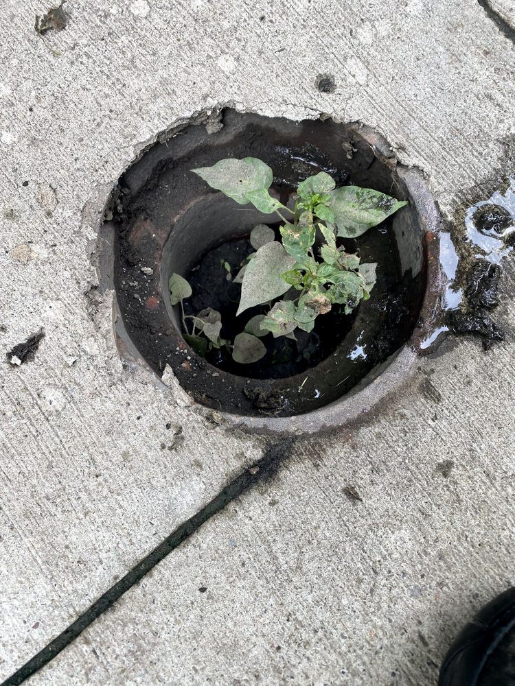 Slide of Sewer Cleaning Company