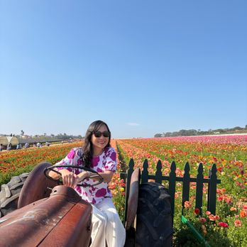 Bravo Travel Services - Flower fields - Travel Agents Near Me Bravo Travel Services - Flower fields - Travel Agents Near Me
