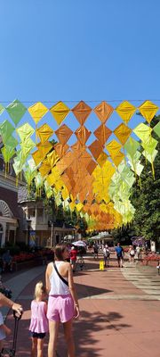Dollywood by null