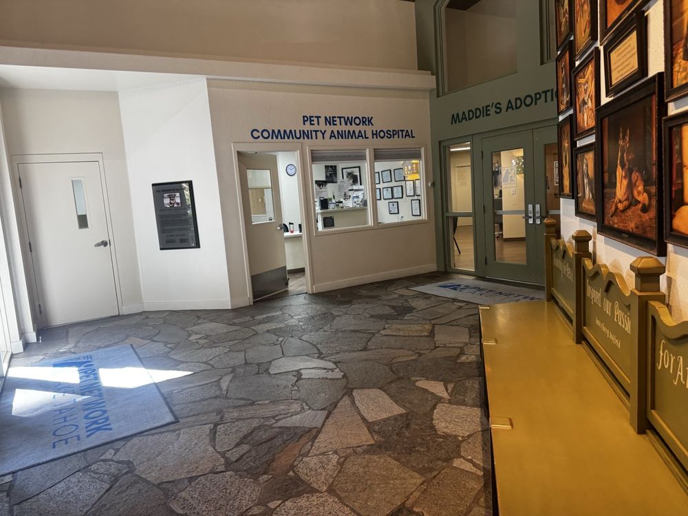 Pet Network Humane Society - pet boarding facility in Incline Village, NV