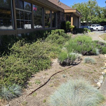 China Village - Outside - Chinese Near Me - Cotati, California