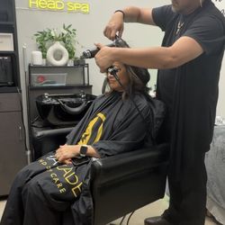 Blowouts, root touch ups , lived-in color, healthy color, organic color