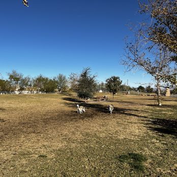 Kellogg Zaher Dog Park - Dogs in the large dog park side - Dog Parks Near Me - Las Vegas, Nevada Kellogg Zaher Dog Park - Dogs in the large dog park side - Dog Parks Near Me - Las Vegas, Nevada