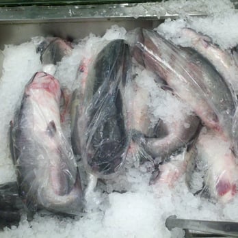 Dat Moi Market - Fresh Cat Fish - International Grocery Near Me - Gardena, California Dat Moi Market - Fresh Cat Fish - International Grocery Near Me - Gardena, California