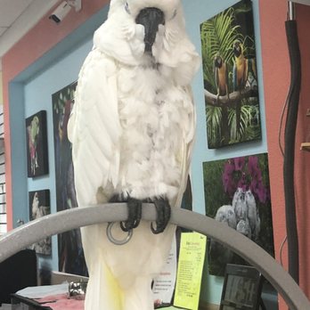 Rena's Pet Supplies - Pet Groomers Near Me - Longwood, Florida