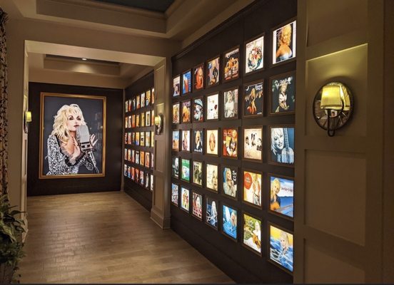 Dollywood's DreamMore Resort & Spa by null