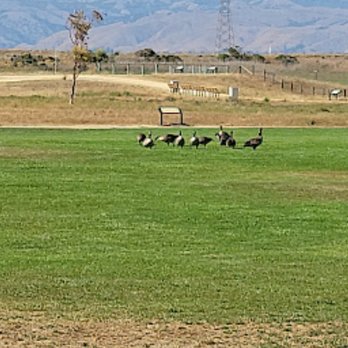 Baylands Park Trail - Parks Near Me - Sunnyvale, California