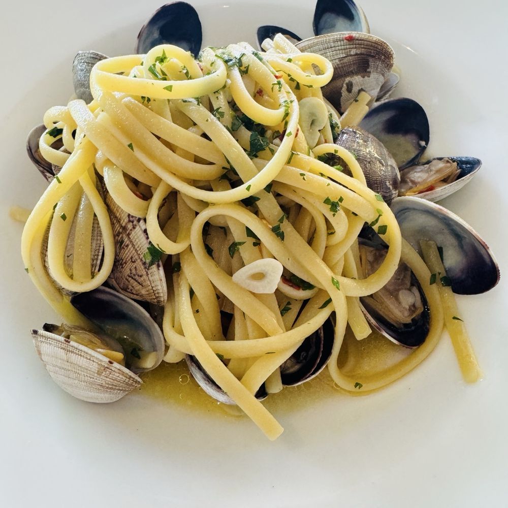 Angelino Restaurant - Linguine Vongole - Italian Near Me - Sausalito, California Angelino Restaurant - Linguine Vongole - Italian Near Me - Sausalito, California