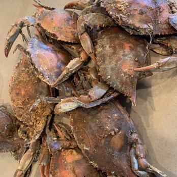Cameron's Seafood - a pile of crabs - Seafood Near Me - Laurel, Maryland