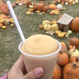 Apple Cider Slushy