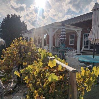 Mediterranean Cellars Winery - Wineries Near Me - Warrenton, Virginia