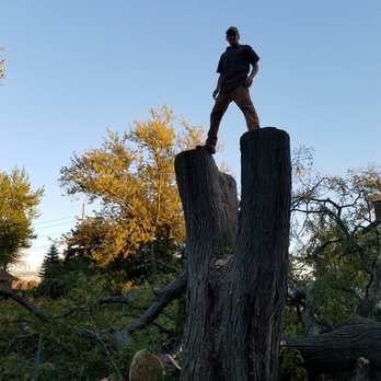 Sugar Creek Landscaping & Tree Service - This super massive, large Maple Tree was a danger over a house. It was one of the larger trees we have taken down to date. - Landscaping Near Me Sugar Creek Landscaping & Tree Service - This super massive, large Maple Tree was a danger over a house. It was one of the larger trees we have taken down to date. - Landscaping Near Me