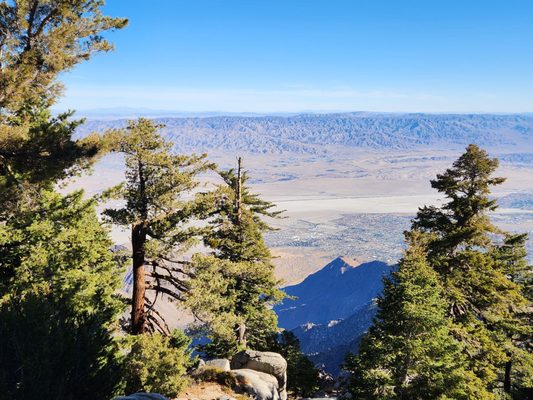 Palm Springs Aerial Tramway by null Palm Springs Aerial Tramway by null