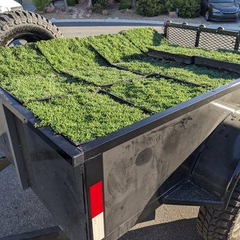 StarCarpetLV - Delivered to your location - Landscaping Near Me StarCarpetLV - Delivered to your location - Landscaping Near Me