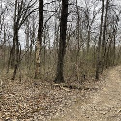 White River Valley Trail System - Orange Trail, March 2025