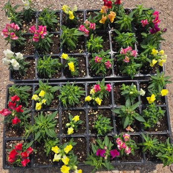 Landmark Nurseries - Home & Garden Near Me - Houston, Texas Landmark Nurseries - Home & Garden Near Me - Houston, Texas