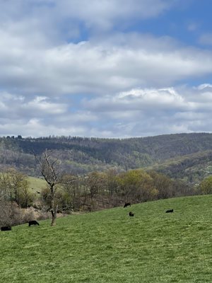Sky Meadows State Park by null
