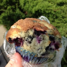 Blueberry Muffin