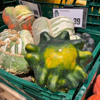 Hit - Pumpkin kind of family?? - Grocery Near Me - Bad Dürkheim, RP