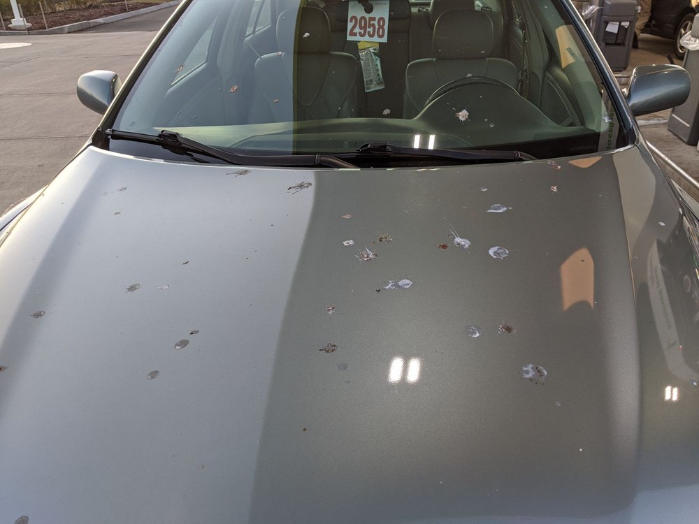 TOYOTA OF WALLINGFORD 15 Photos & 69 Reviews 859 N Colony Rd