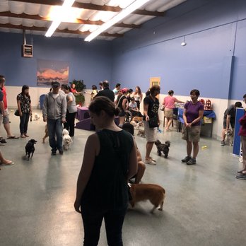 Sweet Doggies - Pet Boarding Near Me - Santa Clara, California Sweet Doggies - Pet Boarding Near Me - Santa Clara, California