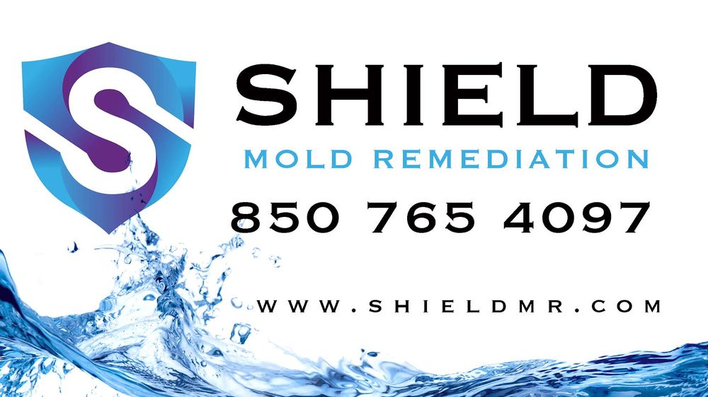 SHIELD MOLD REMEDIATION Updated March 2024 707 E Cervantes St, Pensacola, Florida Damage
