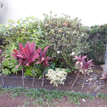 Windward Mall - Nice landscaping. .. - Shopping Centers Near Me - Kaneohe, Hawaii Windward Mall - Nice landscaping. .. - Shopping Centers Near Me - Kaneohe, Hawaii