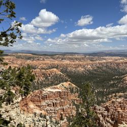 Bryce Point View Point - View point