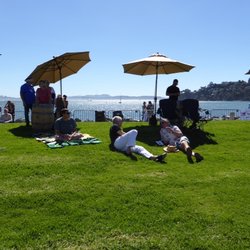 Tiburon Taps Beer Festival