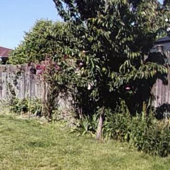 Calmo Landscaping - BEFORE - Landscaping Near Me