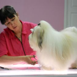 A Paw Spa