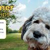 North Kenilworth Veterinary Care gift card